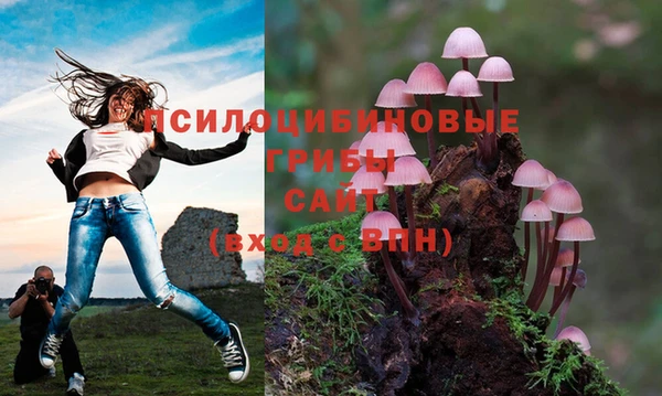 мдпв Баксан