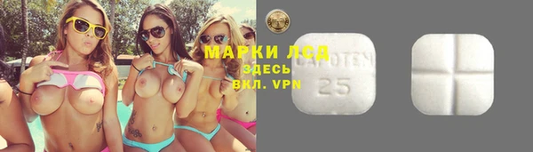 MESCALINE Аркадак