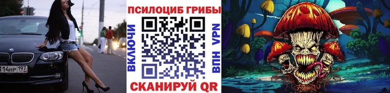 МЕГА ссылка  Макаров  Псилоцибиновые грибы Psilocybine cubensis 